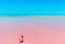 Lago Rosa: Na Austrália, Senagal, Espanha, Austrália, Canadá