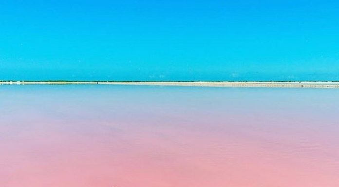 Lago Rosa: Na Austrália, Senagal, Espanha, Austrália, Canadá