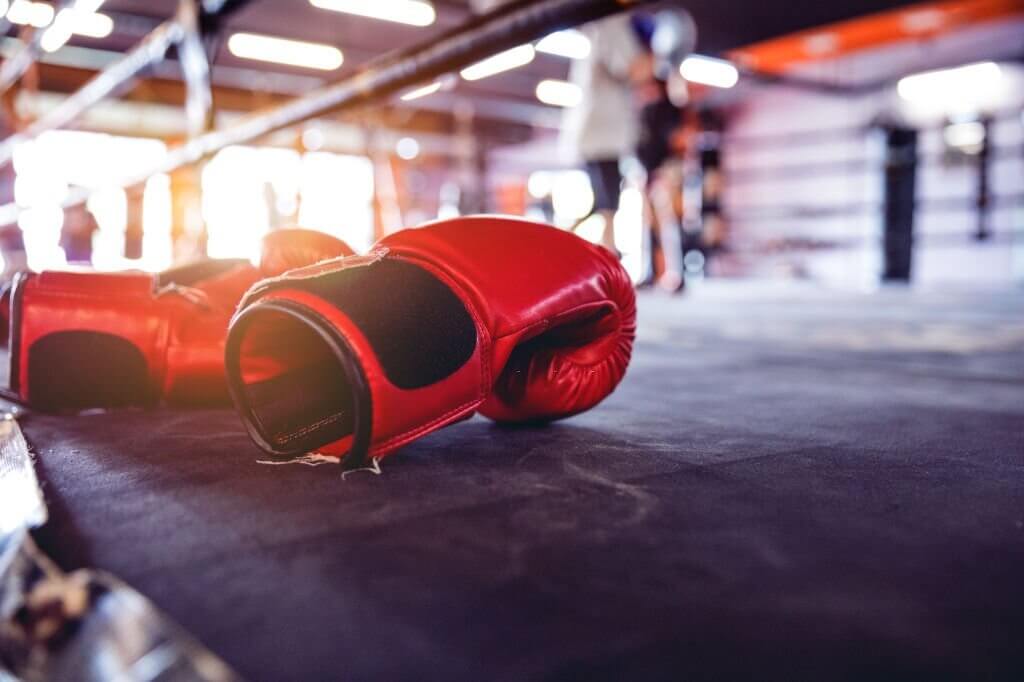 Melhor Luva de Muay Thai 2026