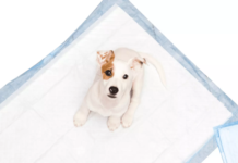 Melhor Tapete Higiênico